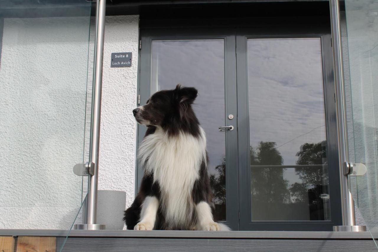 Ben Cruachan Inn - Restaurant, Pub With Rooms Loch Awe Exterior foto